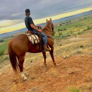 Meet your Posher, Randin